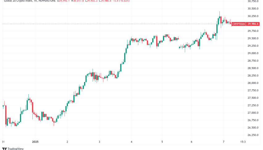 Daily Crypto Signals: Bitcoin Breaks $102K, Solana Outpaces Ethereum