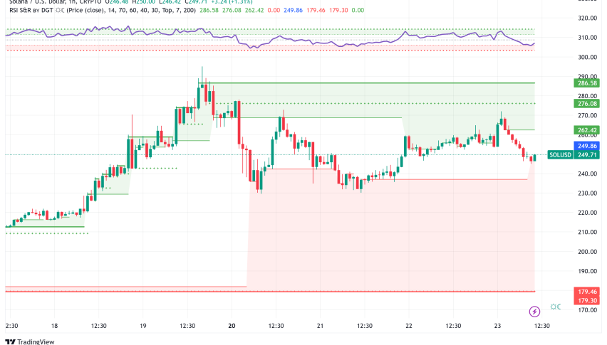 Solana Price Analysis: Memecoin Hype and ETF Prospects Fuel Rally