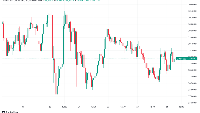 Daily Crypto Signals: Trump's Executive Order and Market Movements