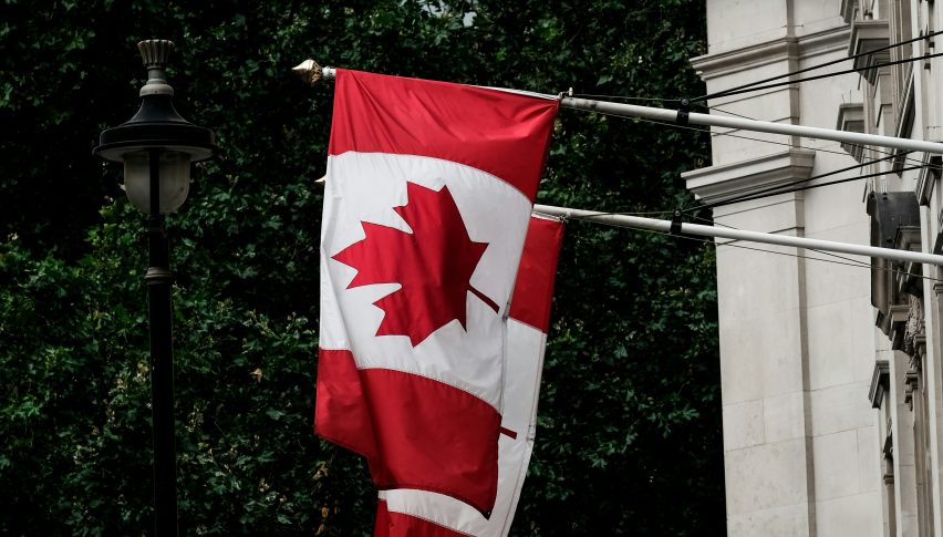 Tariffs on Canada and Mexico have ben halted.