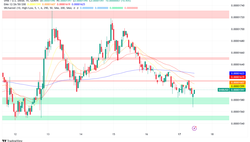 Shiba Inu Crashes 30% in a Month: Layer-2 Shibarium's TVL Plunges 63% as Daily Users Drop Below 1,300