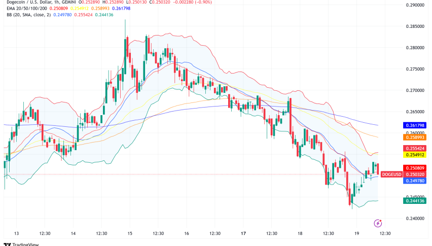 Dogecoin Plunges 5.5% to $0.25: $5B Wiped from Memecoin Market Amid LIBRA Token Collapse