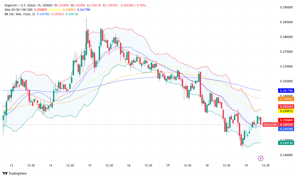 Dogecoin Plunges 5.5% to $0.25: $5B Wiped from Memecoin Market Amid LIBRA Token Collapse