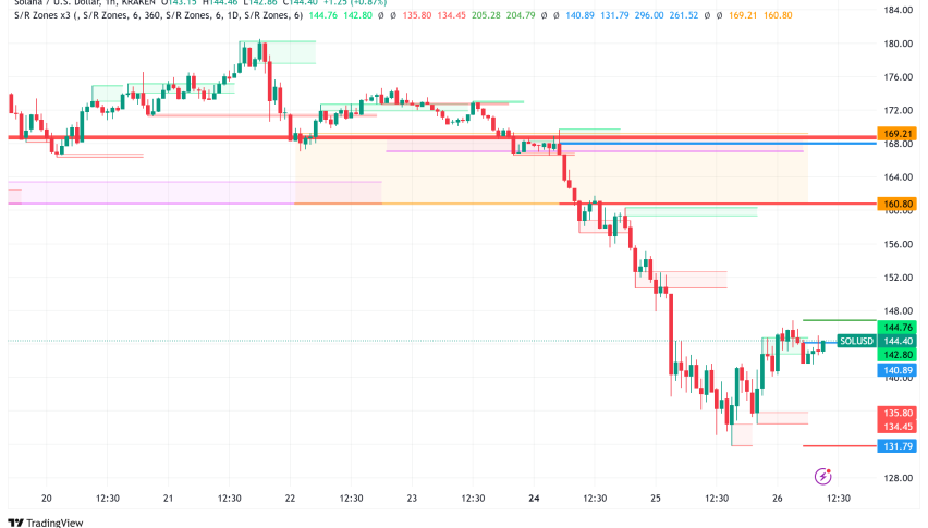 Solana Price Plummets 50% from All-Time High, What's Next?