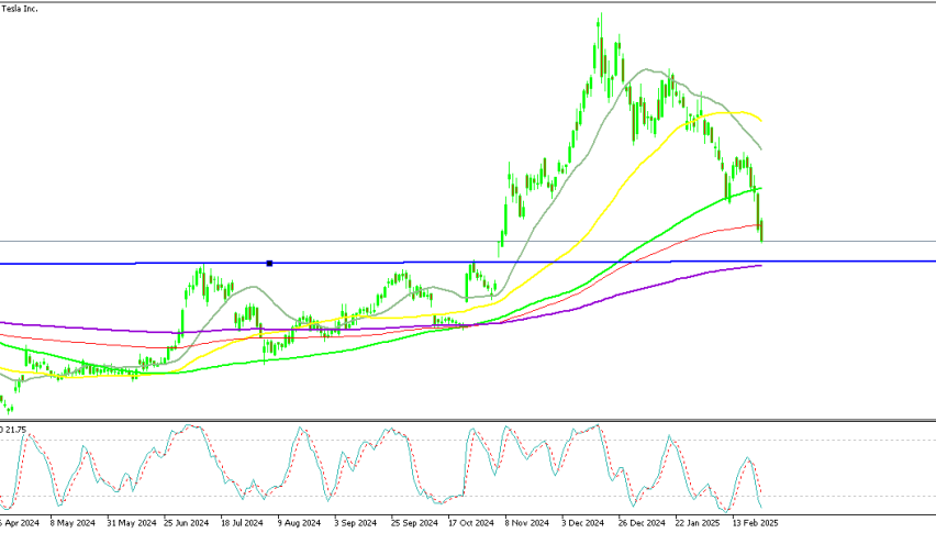 TSLA Shares Daily Chart