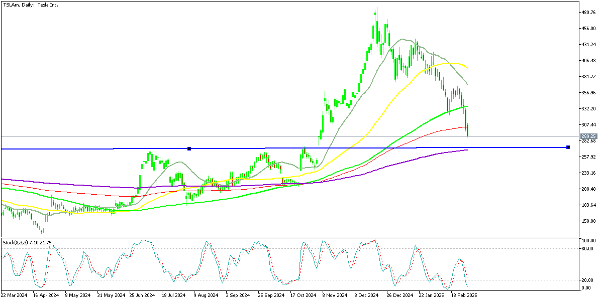TSLA Shares Daily Chart