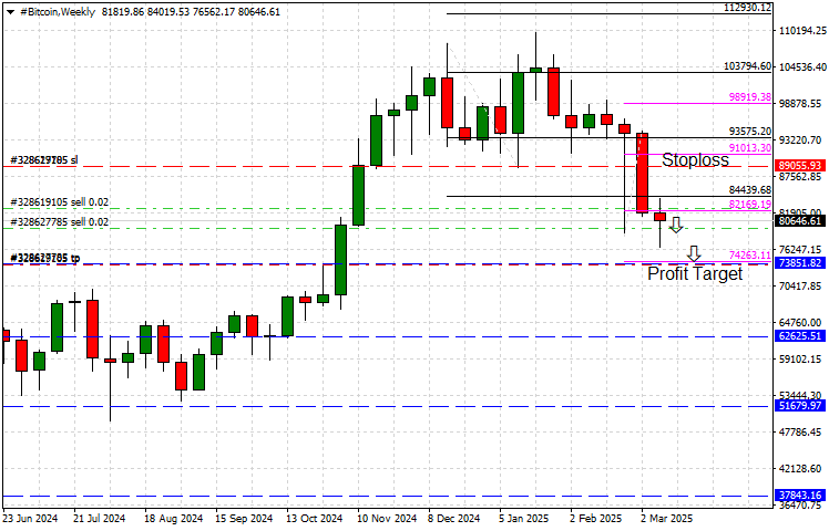 Bitcoin Weekly Analyzed Chart