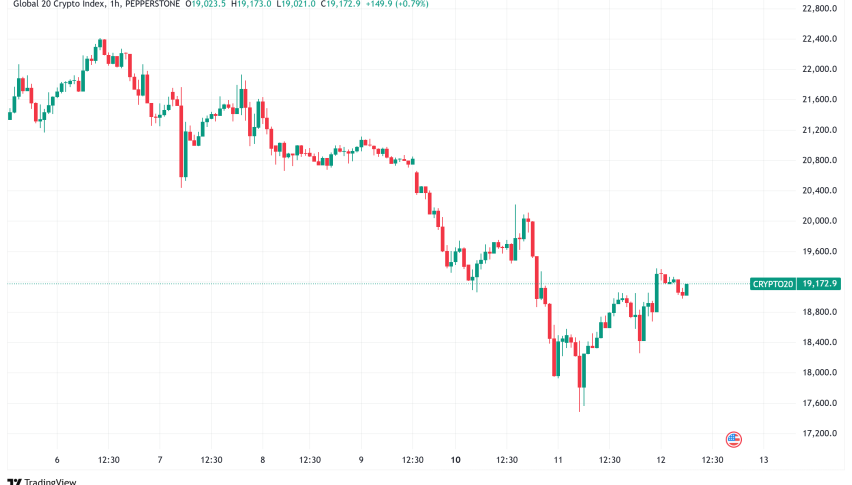 Daily Crypto Signals: Bitcoin Recovers from $76K Low as XRP Whales Continue Selling Spree