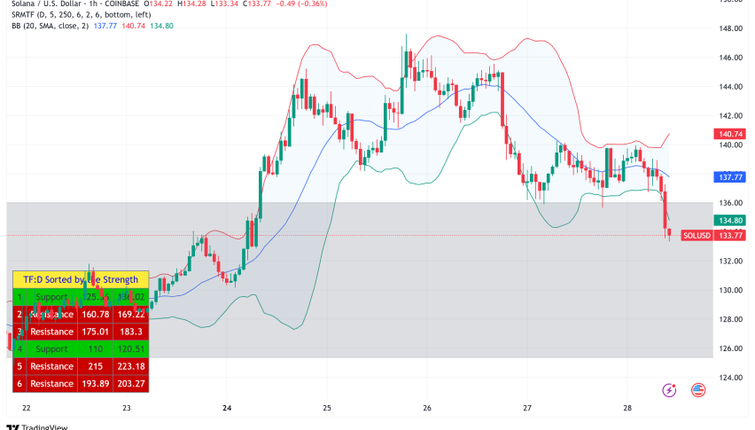 Solana (SOL) Faces Headwinds at $134: Bull Market in Question Amid Declining Network Activity and Key Resistance