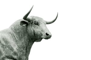 Stocks are up for the week still, but for how much longer.