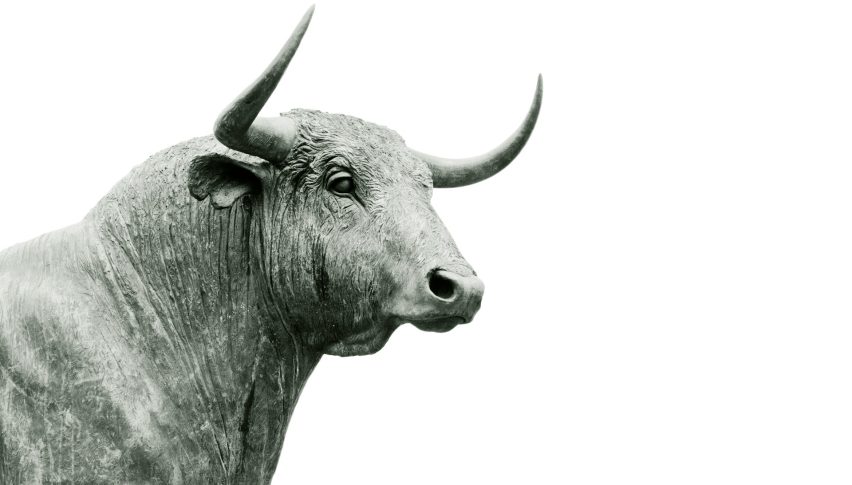 Stocks are up for the week still, but for how much longer.