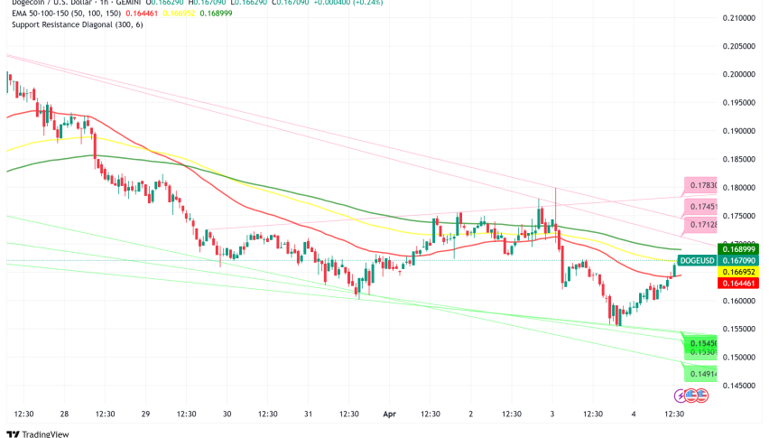 Dogecoin Stabilizes Above $0.16 Amid Volatile Trading Week and Whale Accumulation