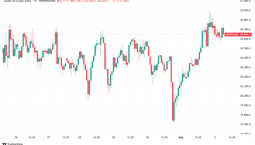 Daily Crypto Signals: Bitcoin Breaks $97K While Solana Surges
