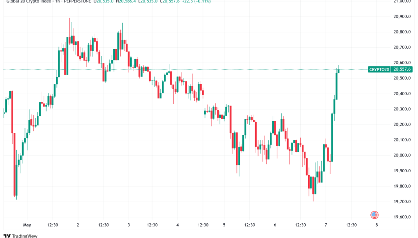 Daily Crypto Signals: Bitcoin Surges Past $97K, Solana Ecosystem Experiences Record Growth