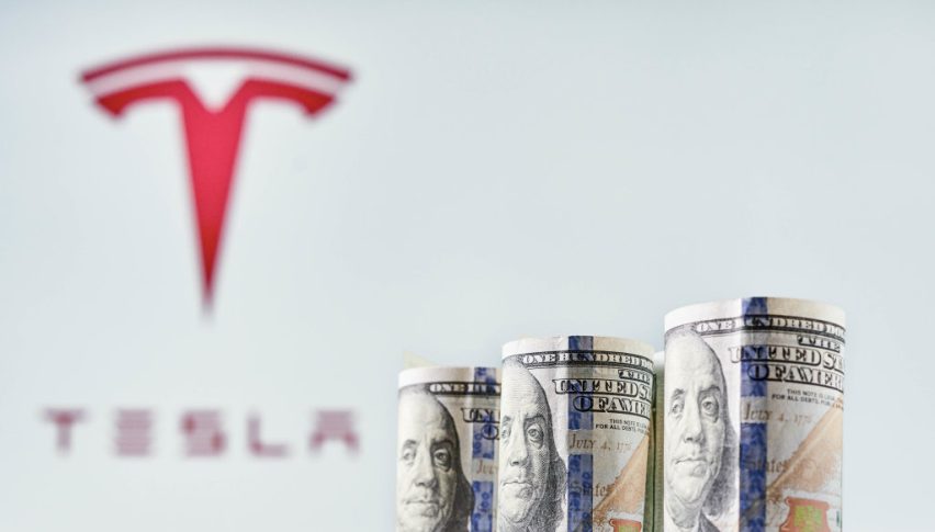 TSLA share price traded above $300 on Friday