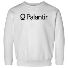 Palantir Tops $281 Billion Market Cap After Stellar Q1 and Upbeat Endorsement